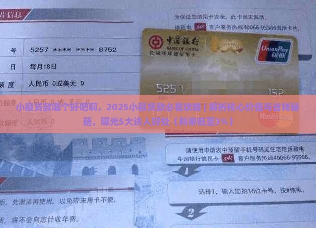 小额贷款哪个好吧啊