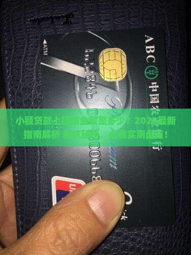 小额贷款有多少钱上征信 小额贷款有多少钱上征信