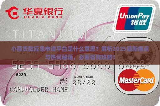 小额贷款应急申请平台是什么意思