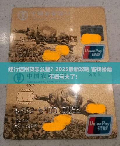 建设银行信用贷款怎么办