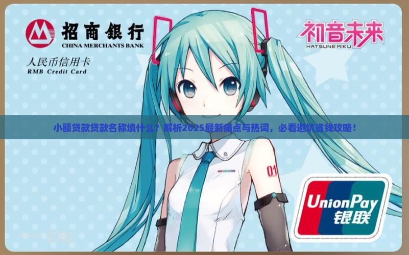 小额贷款贷款名称填什么
