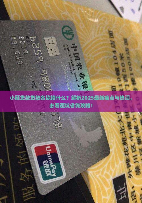 小额贷款贷款名称填什么