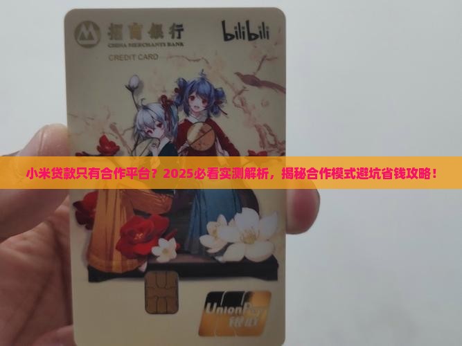 小米贷款只有合作平台