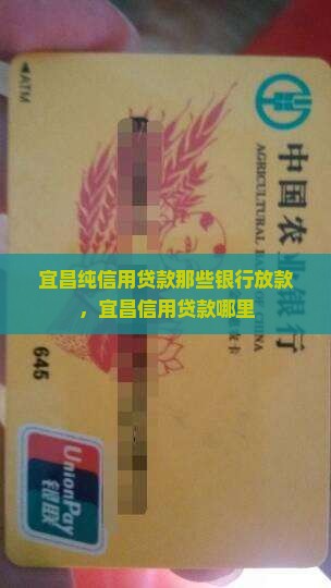 宜昌纯信用贷款那些银行