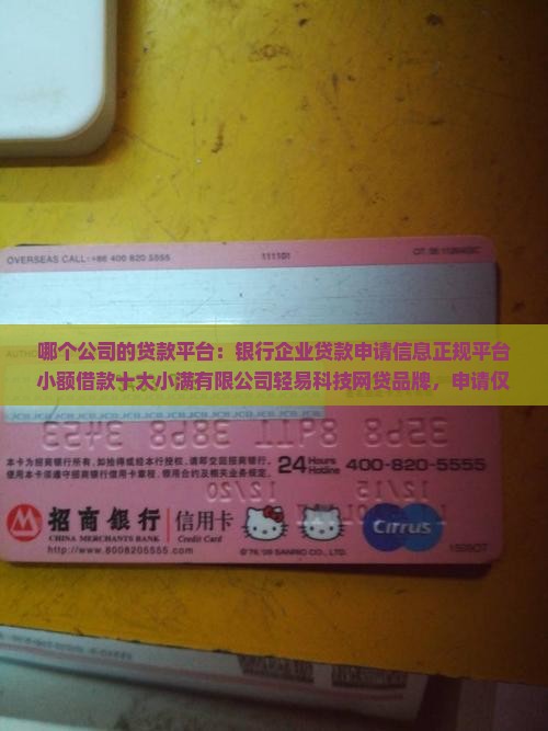 哪个公司的贷款平台