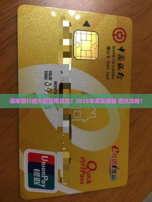 哪家银行能大额信用贷款