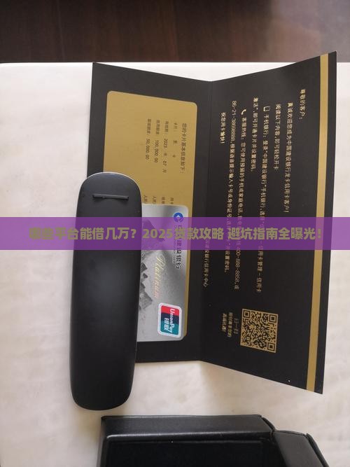 哪些平台可以贷款好几万