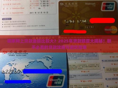 哪家网上贷款金额比较大