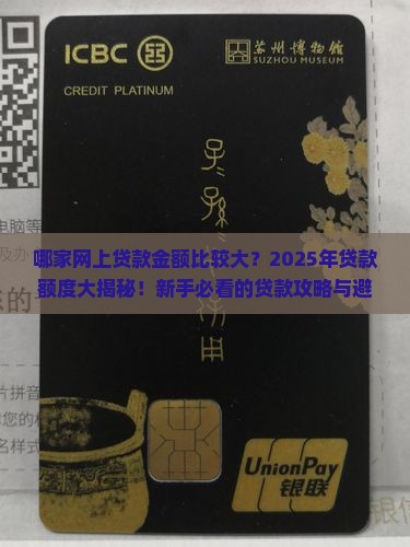 哪家网上贷款金额比较大