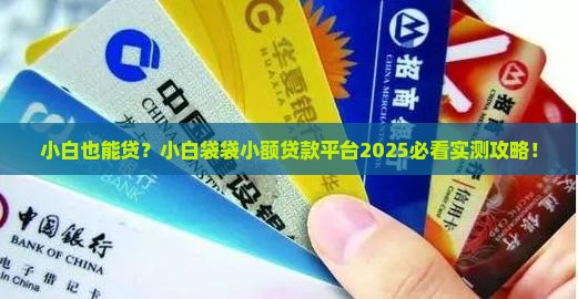 小白袋袋小额贷款平台