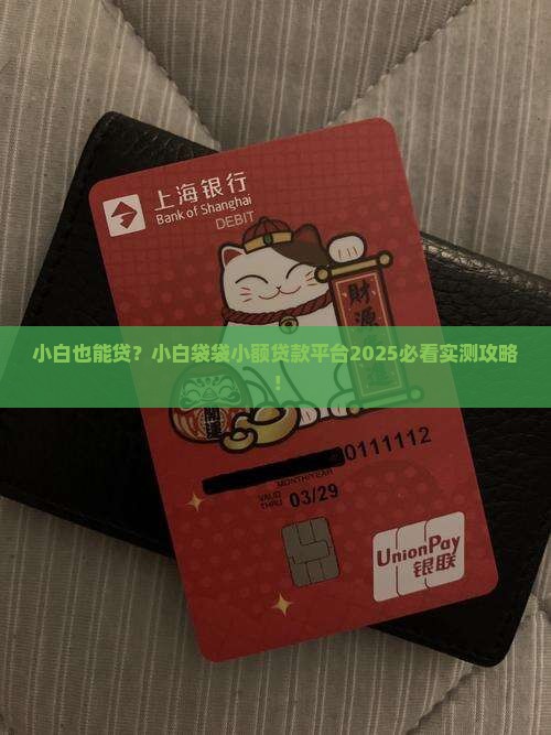 小白袋袋小额贷款平台
