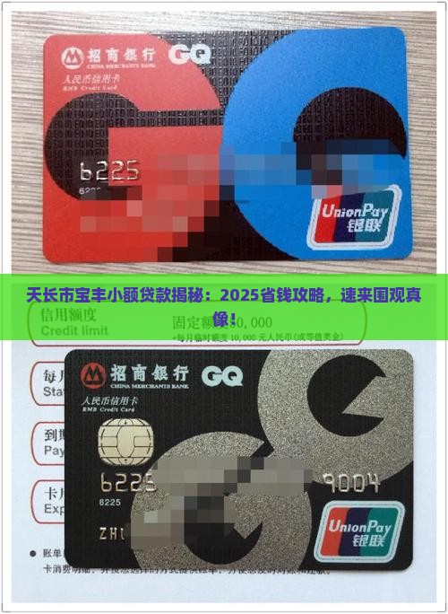 天长市宝丰小额贷款