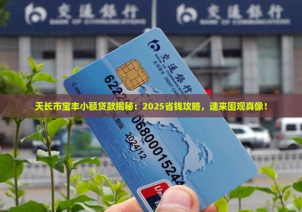 天长市宝丰小额贷款