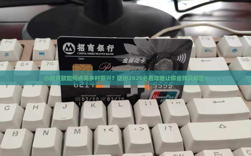 小额贷款乡村振兴