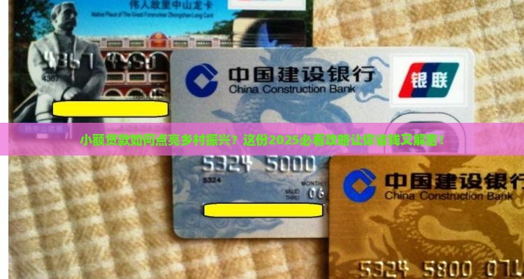 小额贷款乡村振兴
