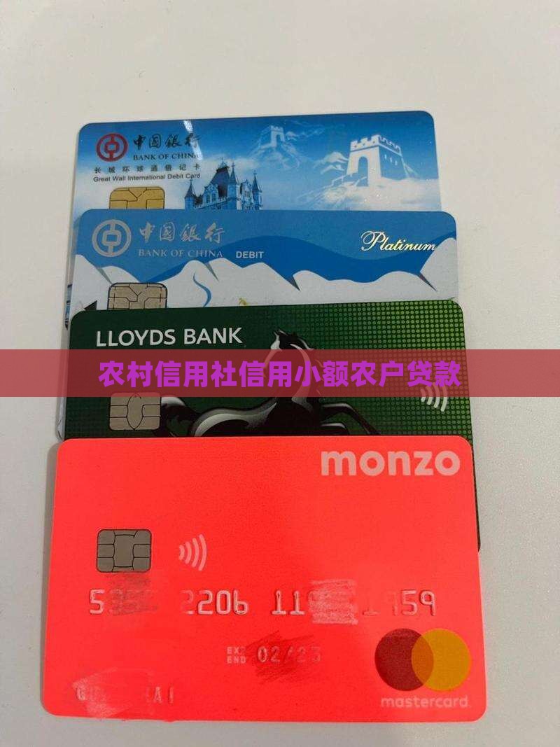 农村信用社信用小额贷款