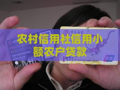 农村信用社信用小额贷款