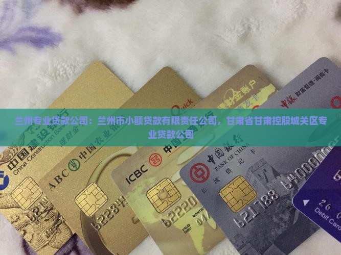 兰州专业做贷款的公司