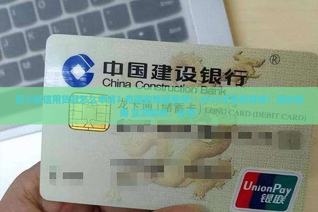 区小额信用贷款