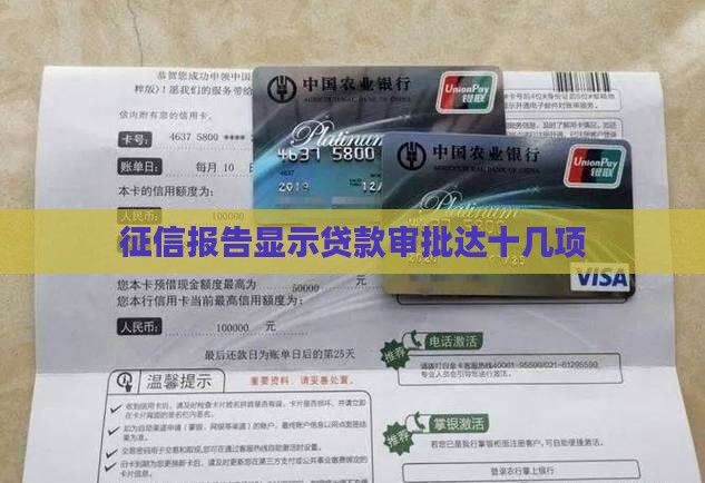 征信十几个贷款审批