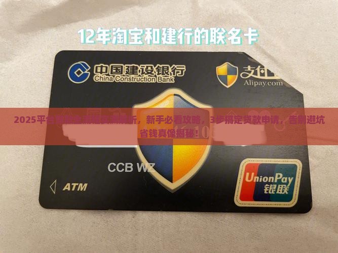 平台贷款的过程怎么写的