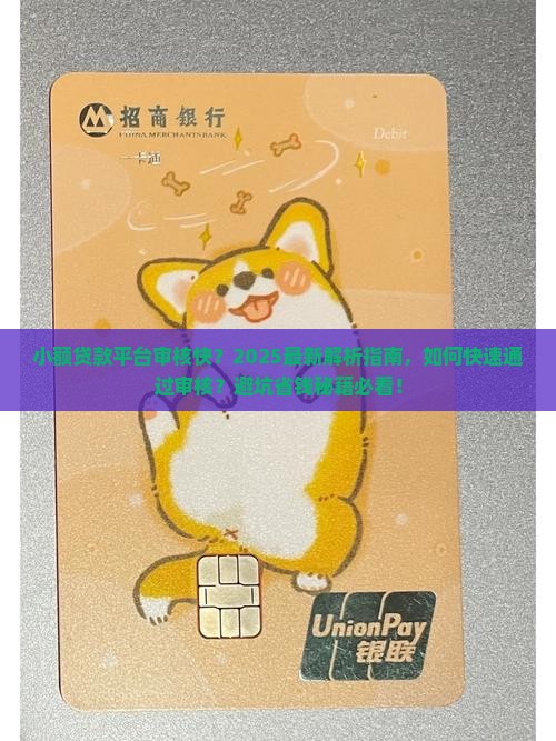 小额贷款平台审核快