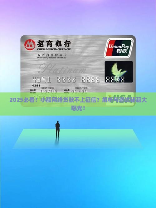 小额网络贷款不上征信