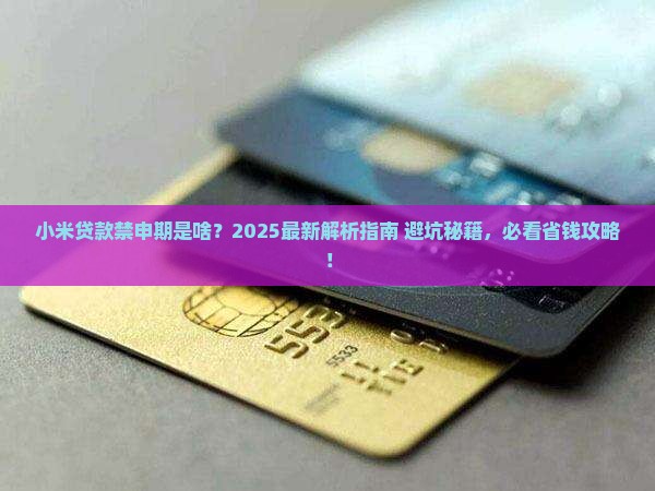 小米贷款禁申期是啥