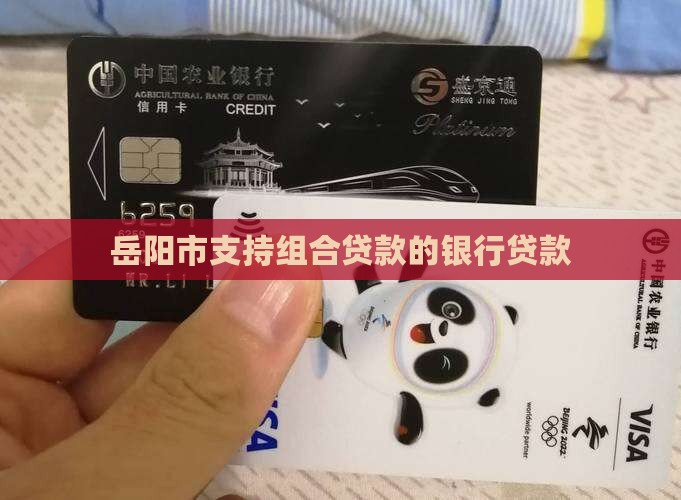 岳阳支持组合贷款的银行