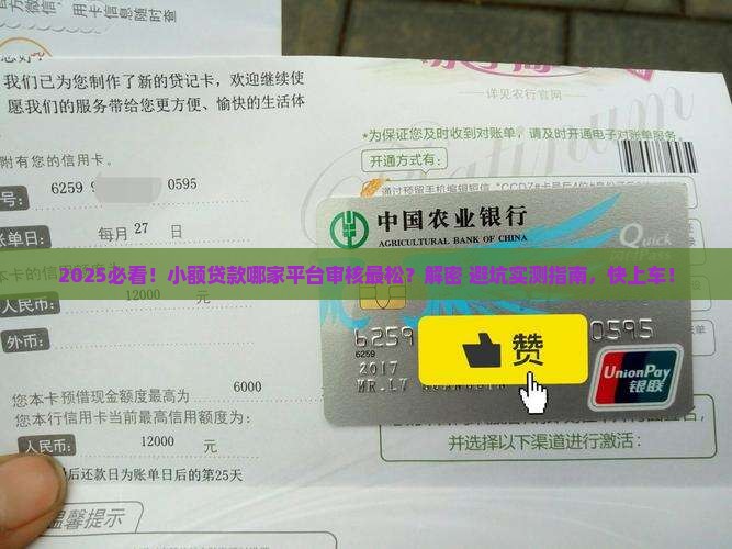 小额贷款什么平台好通过审核