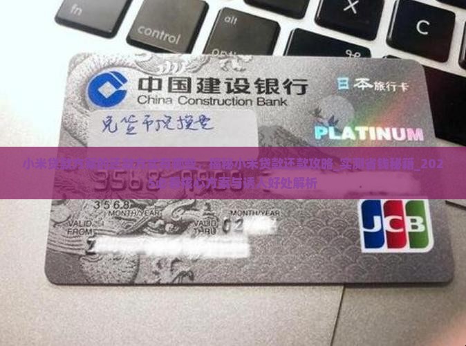 小米贷款方案的还款方式有哪些