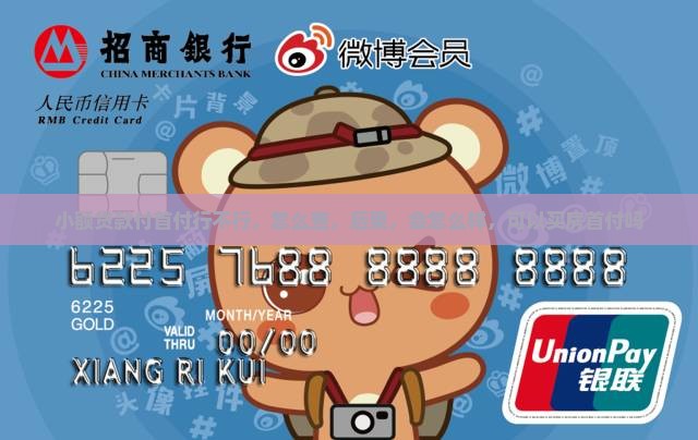 小额贷款付首付行不行