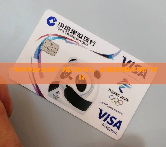广东特斯拉银行贷款