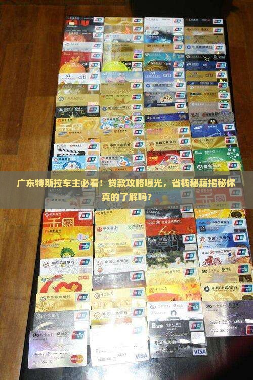 广东特斯拉银行贷款