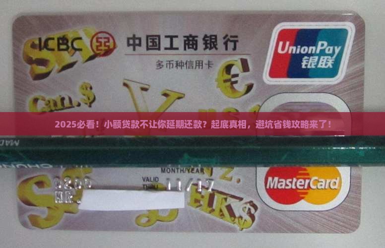 小额贷款不支持延期还款