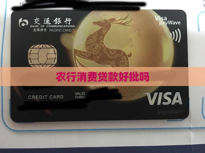 农行消费贷款好批吗