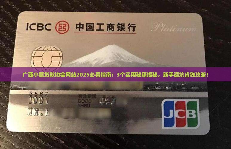 广西小额贷款协会网站