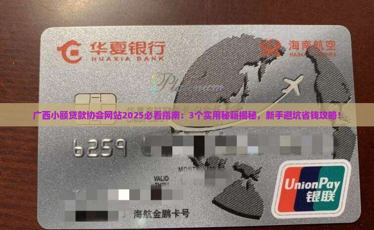 广西小额贷款协会网站