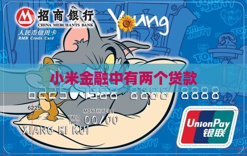 小米金融里面有两个贷款