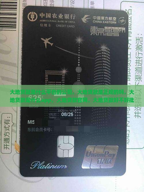 大地贷款是什么平台的