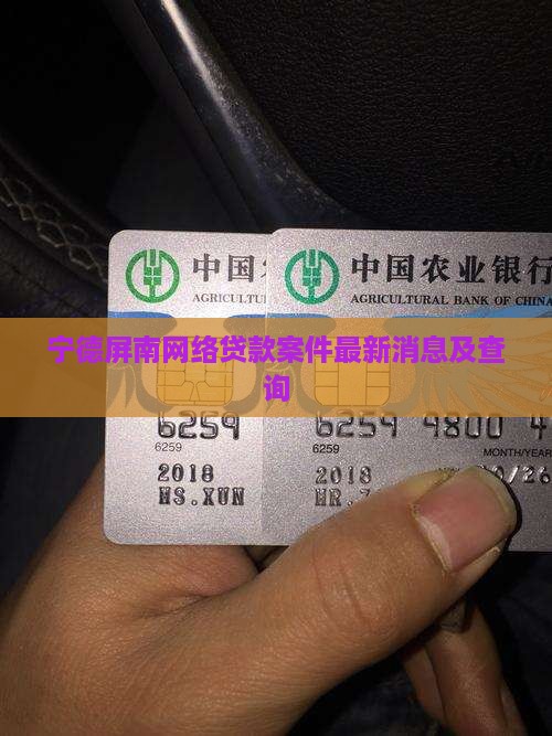 宁德屏南网络贷款案件