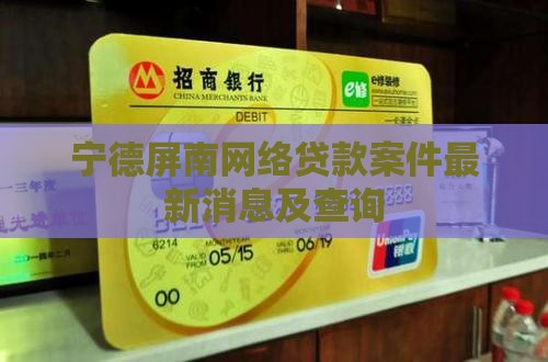 宁德屏南网络贷款案件