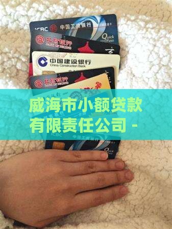 威海小额贷款网