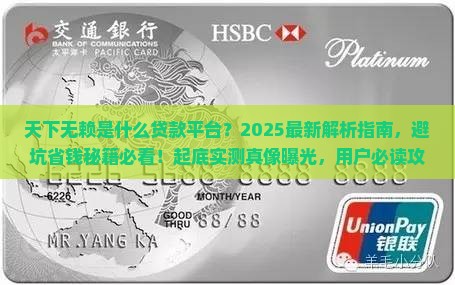 天下无赖是什么贷款平台