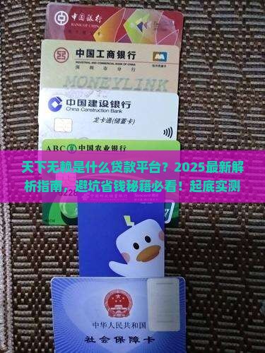 天下无赖是什么贷款平台