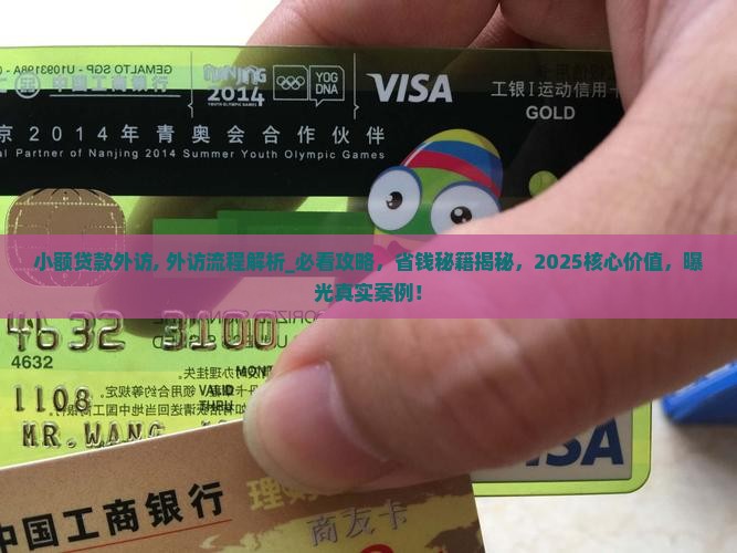 小额贷款外访