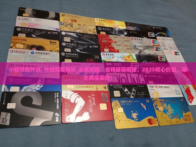 小额贷款外访