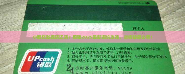 小额贷款提请还清