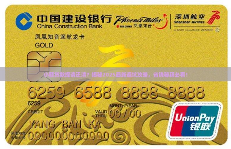 小额贷款提请还清
