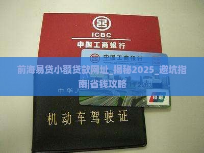 前海易贷小额贷款网址